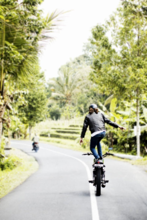 Lovley Beasts...These Bikes We ride